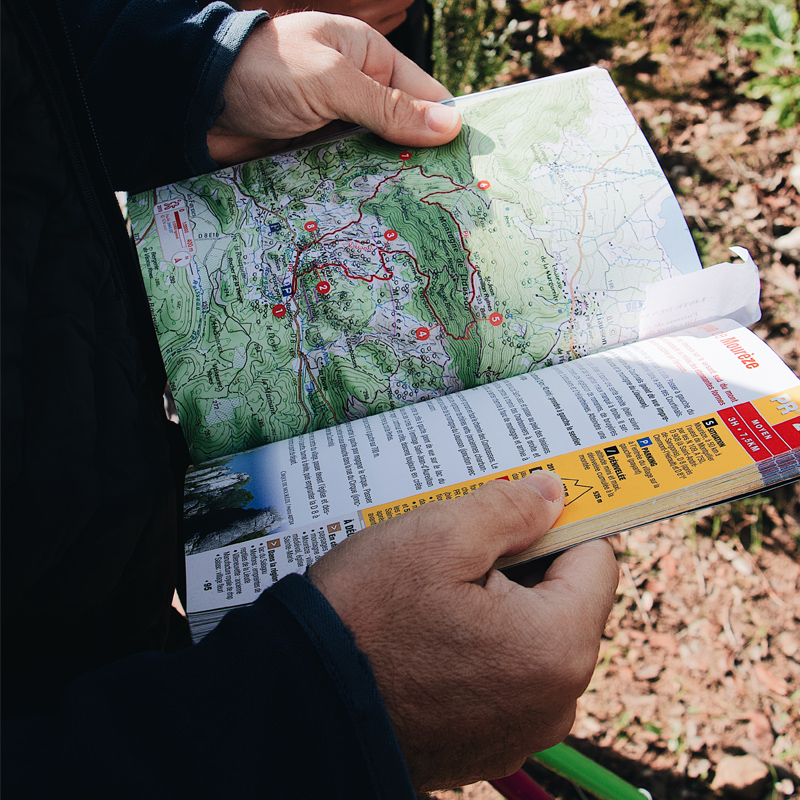person reading map